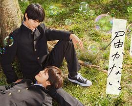 视频青草草原海报剧照